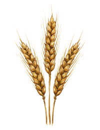 Персонаж доставки